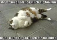 Featured image for Diet Tips for Overcoming Sugar Cravings: Strategies for a Sweeter Success