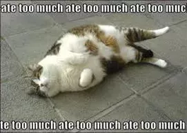 Featured image for Diet Tips for Overcoming Sugar Cravings: Strategies for a Sweeter Success