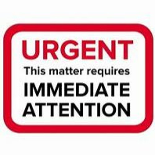 Content image for Emergency Hair Loss: When Sudden Shedding Requires Immediate Attention