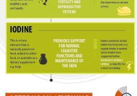 Featured image for Supplement Timing Troubles: When to Take What for Optimal Absorption