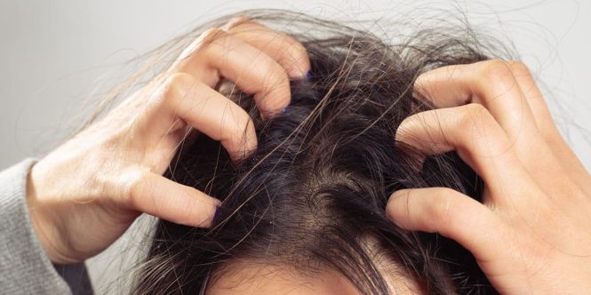 Featured image for The Itch That Won't Quit: Identifying and Addressing Persistent Skin Irritation