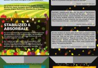 Featured image for Natural vs. Synthetic Vitamins: Understanding the Differences and Benefits